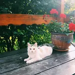 Casa vacanze Wczasowo-wypoczynkowy U Kawulokow Istebna