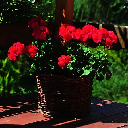 Wczasowo-wypoczynkowy U Kawulokow Hébergement de vacances