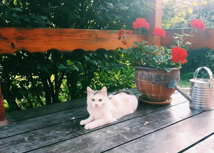 בית נופש Wczasowo-wypoczynkowy U Kawulokow איסטבנה