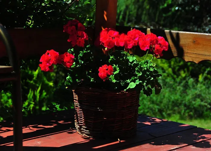 Wczasowo-wypoczynkowy U Kawulokow בית נופש